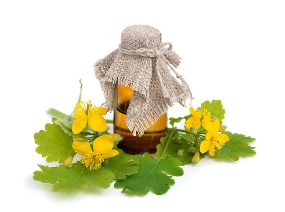 Infusion von Schöllkraut gegen Fußpilz